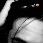 mink hiu ở Bình Thạnh, TP Hồ Chí Minh - ko cao lam chi co cao hon 16cm