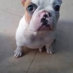 Nguyễn văn ở Bình Thủy, Cần Thơ - Vui vẻ hoà đồng