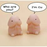 Ca ca ở Sơn Trà, Đà Nẵng - Dễ nói chuyện