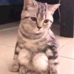 Nguyễn Phú ở Bình Thạnh, TP Hồ Chí Minh - Hiền, ít nói