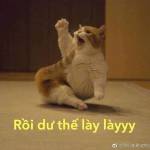 Ham Vui Mộ ở Quận 1, TP Hồ Chí Minh - Để nói hết cũng khó. Đến đây đ