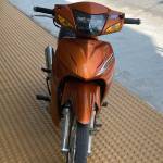 Công ở Bình Lục, Hà Nam - Đz cuto