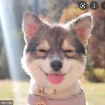 Phùng ở Quận 10, TP Hồ Chí Minh - SInh viên mún tìm bạn tâm sự