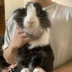 Minh ở Hải Châu, Đà Nẵng - Hellu