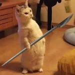 Nguyensang ở Bình Long, Bình Phước - Timt