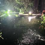 phon ở Phú Vang, Thừa Thiên Huế - vui vẻ