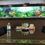 Nguyễn mạn ở Tây Hồ, Hà Nội - Là người vui vẻ hoà đồng hoạt 