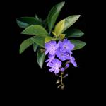 Vinh ở Liên Chiểu, Đà Nẵng - Muốn tìm bạn nữ