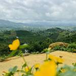 kết bạn Bảo cùng tìm người yêu