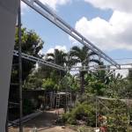 Xuân Trườn ở Long Thành, Đồng Nai - Hòa đồng vui vẻ