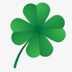 Nguyễn Anh ở Thủ Đức, TP Hồ Chí Minh - Bình thường, lãng mạn