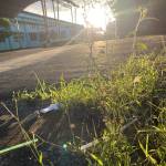 Anh ở Tiểu Cần, Trà Vinh - tìm bạn vui vẻ