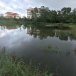 Van sang ở Bố Trạch, Quảng Bình - Tàm tạm