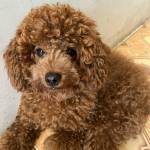 Long ở Định Quán, Đồng Nai - Tìm bạn đời