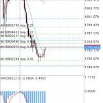 Chim Be ở Huế, Thừa Thiên Huế - Cần tìm fwb