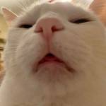 Hoàng Vũ ở Quận 2, TP Hồ Chí Minh - lịch sự kín đáo