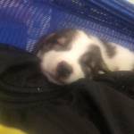 Nam ở Châu Thành, Đồng Tháp - Chào