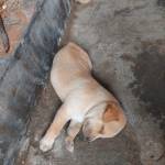 Trần anh t ở Buôn Ma Thuột, Đắk Lắk - Đơn giản, hiên lành, k ăn chơi