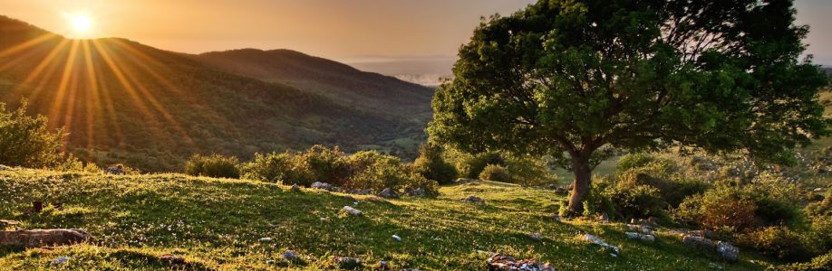 Mr Simple Cover Image