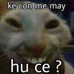 minh ở Ngô Quyền, Hải Phòng - want sex