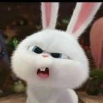 Phát ở Long Xuyên, An Giang - Không có gì ạ