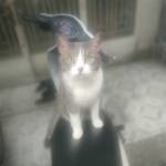 Long ở Bình Thạnh, TP Hồ Chí Minh - Tìm fwb để trải nghiệm