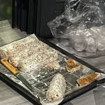 James ở An Nhơn, Bình Định - Hello