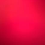 Tymor ở Thanh Trì, Hà Nội - Vui