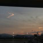 Gon ở Liên Chiểu, Đà Nẵng - Hoà đồng