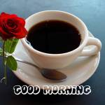 Truongle ở Hải Châu, Đà Nẵng - Độc thân <br>Vui tính <br>Nghi