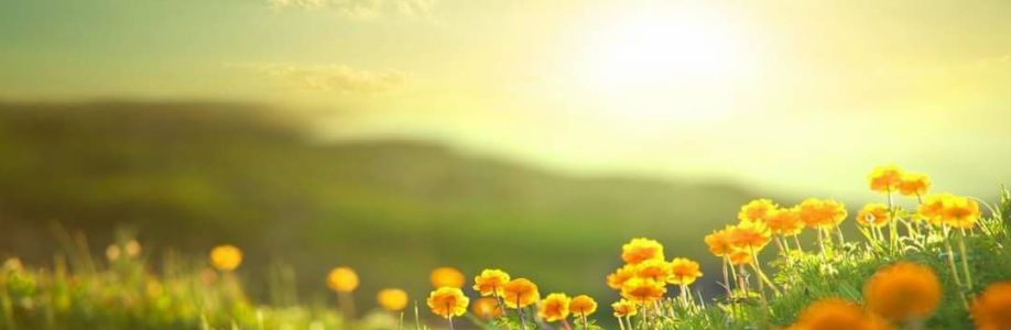 I don't known Cover Image