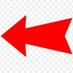 Soo kyo ở Tân Phú, TP Hồ Chí Minh - Từng chi