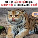 Nhatquan ở La Gi, Bình Thuận - Dài to