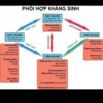 Xuan ở Đà Lạt, Lâm Đồng - Độc thân