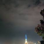 Tùng ở Tân Bình, TP Hồ Chí Minh - Vui vẻ hòa đòng