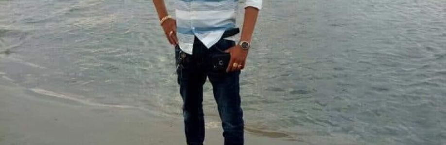 Đỗ Diên Vỹ Cover Image