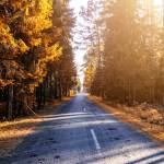 Ti đang tìm bạn hẹn hò qua mạng