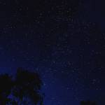 Tiến ở Thanh Xuân, Hà Nội - Hihi