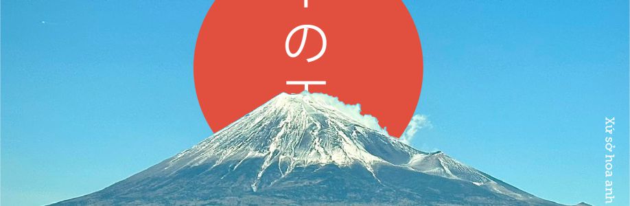 Nguyen M Cover Image