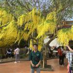 Nguyễn Duy ở Tân Phú, TP Hồ Chí Minh - Kín đáo, lịch sự. Ngoại hình ư