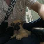 Hưng - tim ban trai da ly hon qua so dien thoai