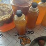 Hoangha ở An Khê, Gia Lai - Cao trắng to