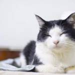 Khương ở Nam Định, Nam Định - We will come back!