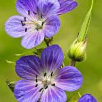 Vũ ở Long Thành, Đồng Nai - Vui vẻ