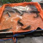 Tìm bạn đang tìm bạn hẹn hò qua mạng