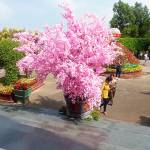 ngọc dũng ở Long Khánh, Đồng Nai - vui vẻ