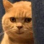 Văn Hoài ở Quận 12, TP Hồ Chí Minh - Biết quan tâm , dam dang