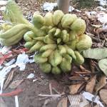 Kery - tim ban trai da ly hon qua so dien thoai