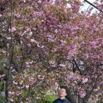 Kiều Phong ở Long Biên, Hà Nội - Abc