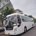 Dailong190 Profile Picture